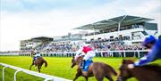 Season finale at Bath Racecourse