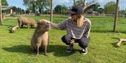 Chew Valley Animal Park
