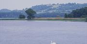 Chew Valley Lake
