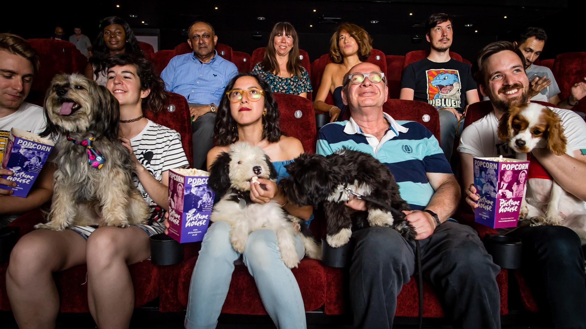 Dogs sit on their owners' laps at The Little Theatre Cinema