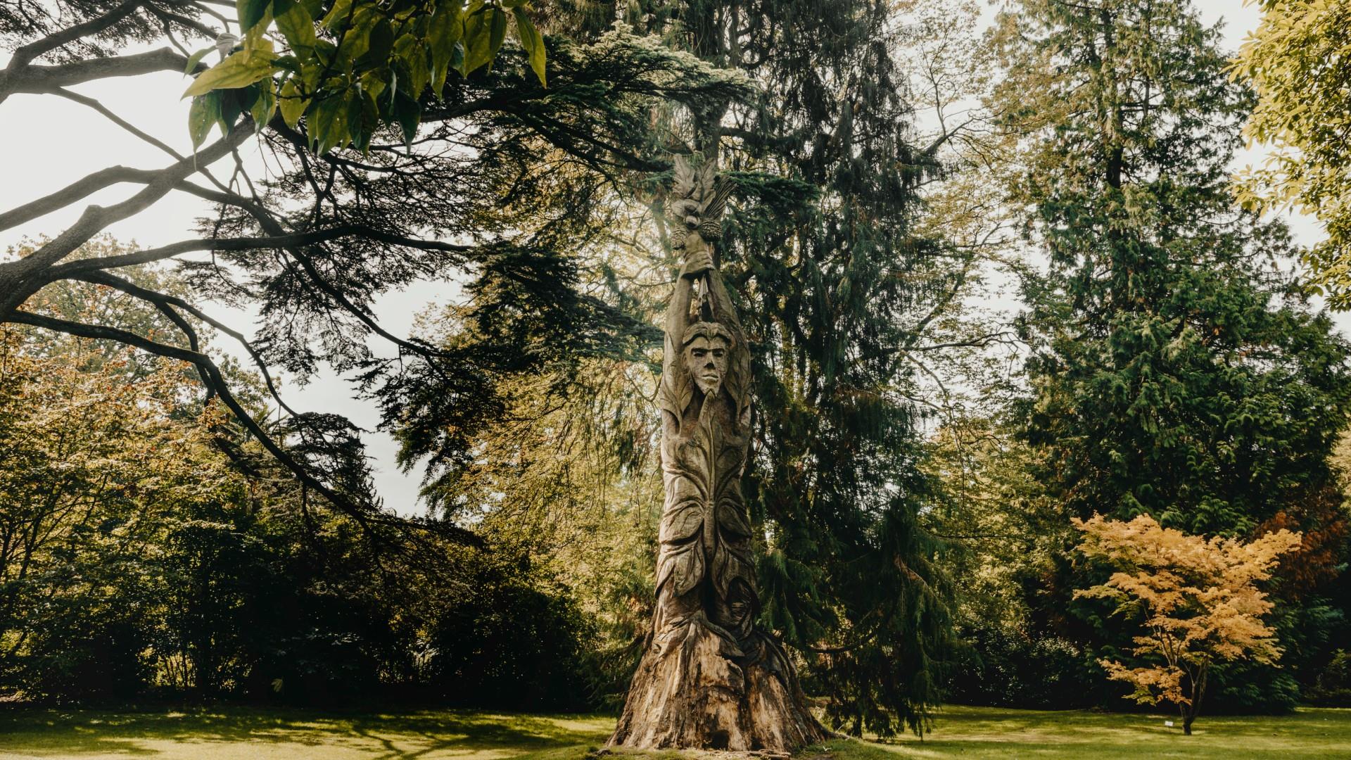 Engraved tree at The Botanical Gardens at Royal Victoria Park