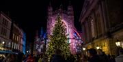 A large Christmas tree placed in centre of a square with Bath Abbey in the background