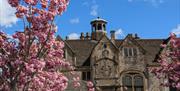 Almshouses with cherry blossom