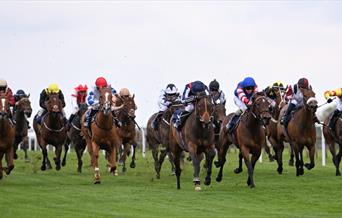 A group of horses and their jockeys racing on a racecourse