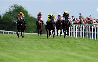 Jockeys racing horses around Bath Racecourse
