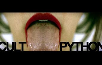 red painted lips will a tongue sticking out with the text Cult Python on the side