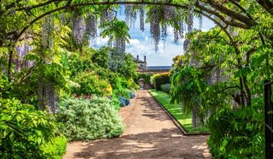 Private Walled Garden Tour - Anna Stowe