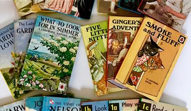 A selection of Ladybird books