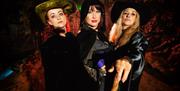 The Witches of Wookey Hole