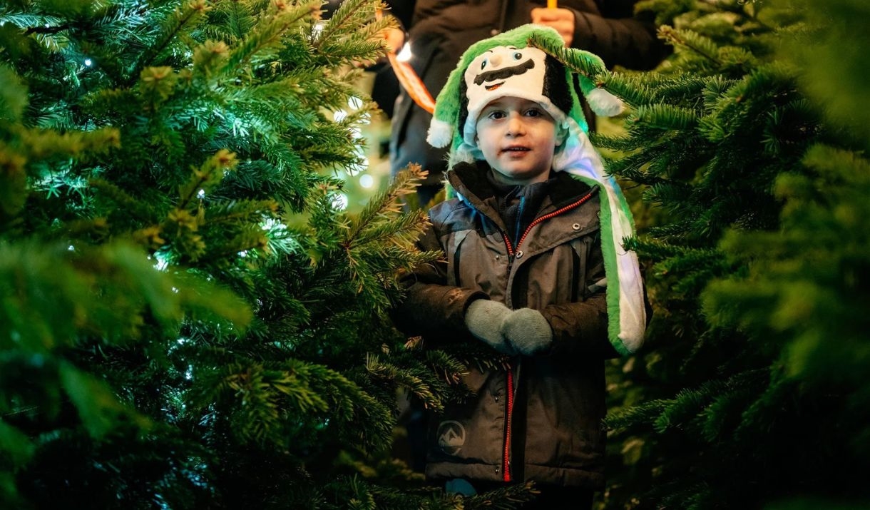 Little boy wearing hat in christmas tree maze Little boy wearing hat in christmas tree maze