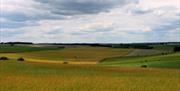 Salisbury Plain
