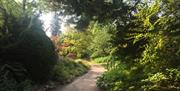 The Botanical Gardens at Royal Victoria Park