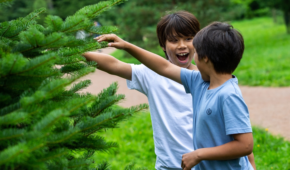Children playing with tree