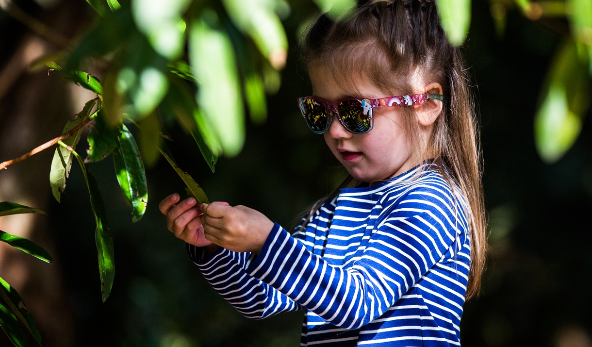 Child looking at leaf on a tree