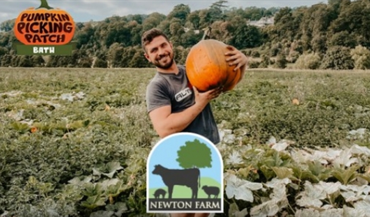 Man holding a pumpkin in a field.