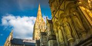 Salisbury Cathedral hero