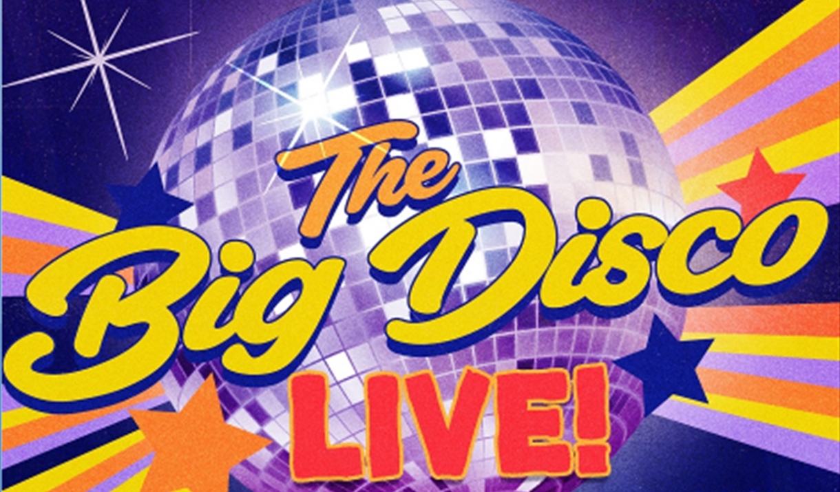The big disco live Christmas edition poster