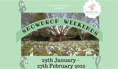 Snowdrop weekends at The Bishop's Palace