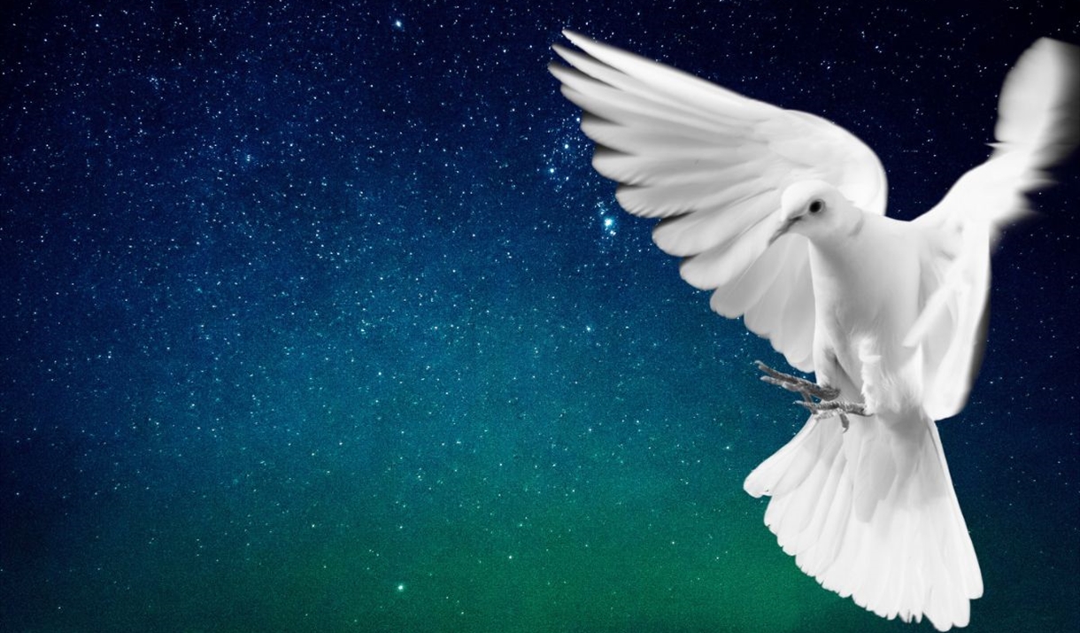 The Armed Man The Armed Man