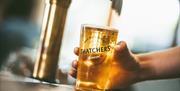 Pint of Thatchers Gold