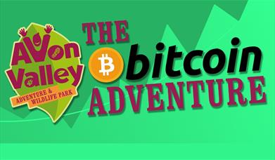 The Bitcoin Adventure at Avon Valley Adventure & Wildlife Park
