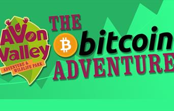 The Bitcoin Adventure at Avon Valley Adventure & Wildlife Park
