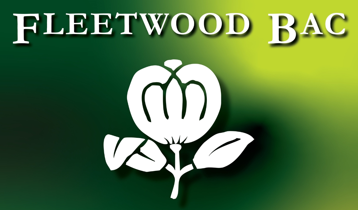 A poster advertising the Fleetwood Mac tribute band Fleetwood Bac