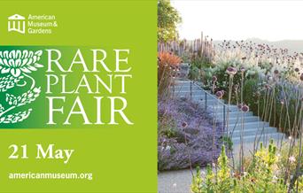 A poster advertising a Rare Plant Fair at the American Museum & Gardens in Bath