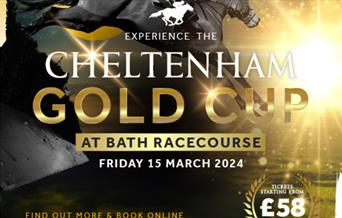 A poster advertising the Cheltenham Gold Cup Experience at Bath Racecourse