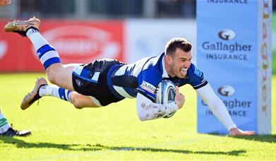 Ben Spencer dives over the try line to score points for Bath Rugby. 