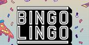 Bingo Lingo at Komedia

