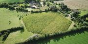 Quoins Organic Vineyard Aerial View